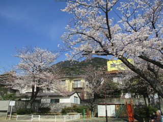 IMG_9895.JPG